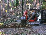 Loading Chipper Mechanically