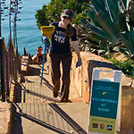 Over 1300 volunteers participated during this year's National Day of Service.
