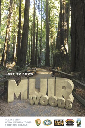 Get To Know: Muir Woods