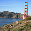 View of the Presidio Coastal trail looking towards the Golden Gate Bridge.