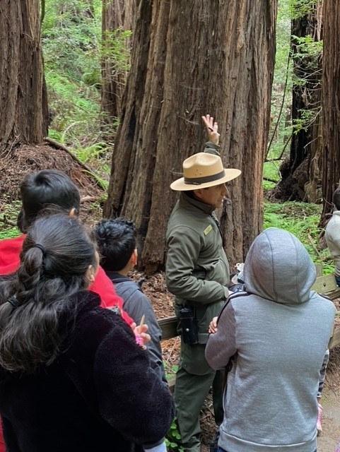 NPS Ranger, asking students, what do you see up there? In a Redwood forest