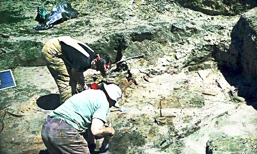 workers leaning over open archeological pit using tools and brushes
