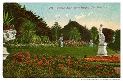 Sutro Heights flower beds postcard