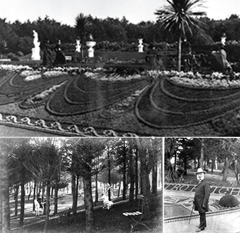Top: Flower carpet bed on slope, 1880s;  Lower left: The “Old Grove” forest in Sutro Heights, 1880s. Lower right: Adolph Sutro in front of flower bed that spells Sutro Heights, 1880s.