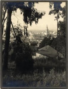 View of PPIE through Trees