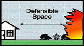 Create defensible space around your home by removing or breaking up vegetation.