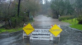 Flooding near Muir Beach due to degradation of the Redwood Creek watershed