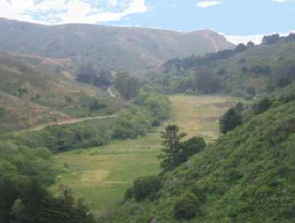 Flat, green Banducci agricultural field flanked by rolling green coastal hills