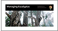 Managing Eucalyptus brochure