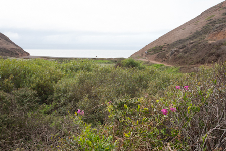 View facing the ocean and trails at Tennessee Valley.