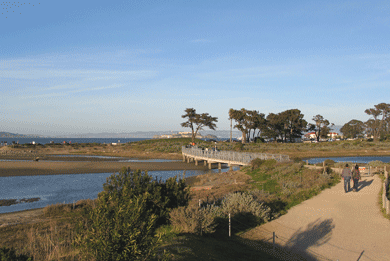 A [icture pf Crissy Field Bridge.