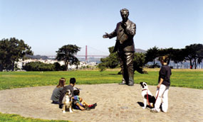Visitors and their pets at Fort Mason, GGNRA