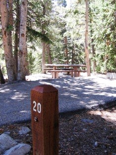 Campsite #20, paved site and picnic table among trees