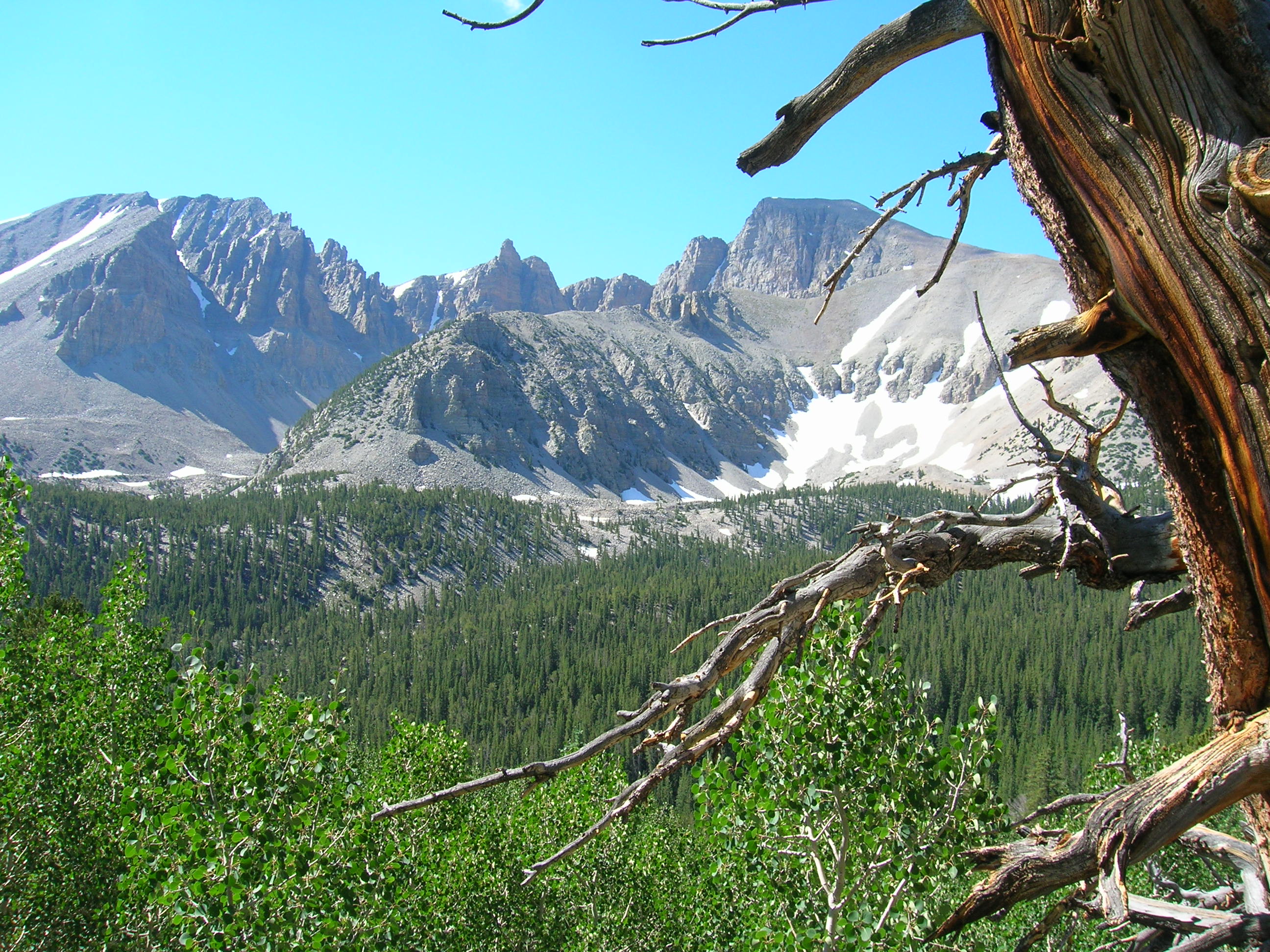 Wheeler Peak from the Summit Trail