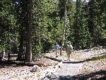 Island Forest Trail