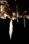 21 - Fragile Formations