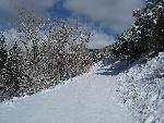 Snake Creek Rd