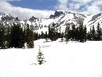 WP Snow