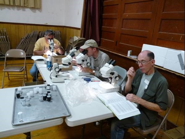 four men working at microscopes