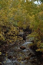 Baker Creek in fall colors