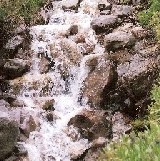 LehmanCreek