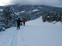 Skiing Baker Creek Road