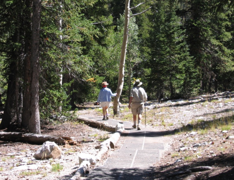 Island Forest Trail