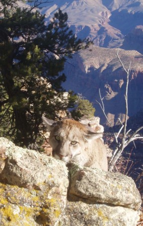Life on the Edge ecology program