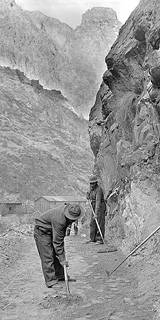 Enrollees working on the Kaibab Trail