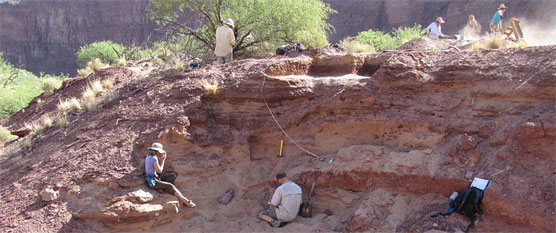 Archeologists working at Cardenas