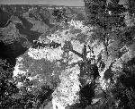 1947 Mule Party on Bright Angel Trail