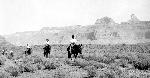 1955 Mule Trip in the Canyon