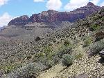 TONTO TRAIL WALKING EAST