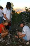 Youth - Exploring Grand Canyon plants
