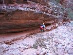 Canyon Ranger patrol