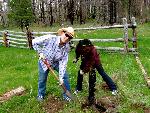 Youth - Service project in the forest