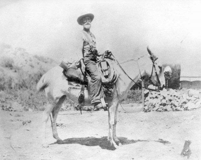 Pioneer man on white mule