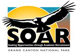 SOAR Logo