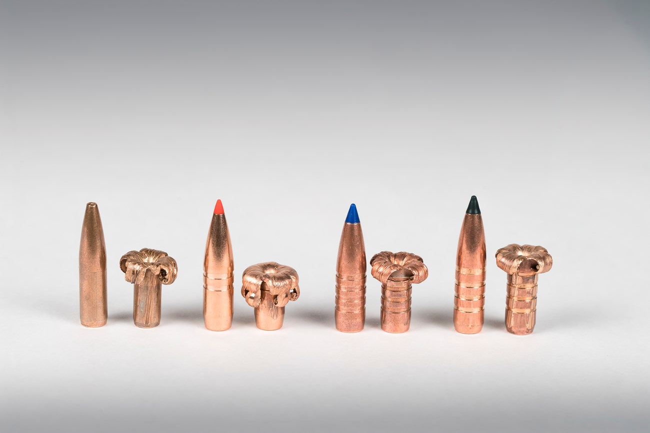 Four different brands of .30 caliber non-lead bullets before and after being shot at 100 yards