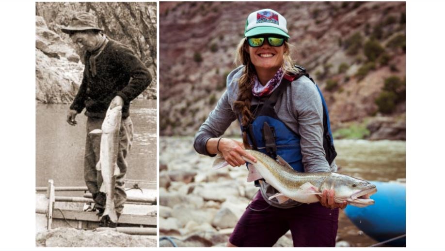 A photo on the left shows a man holding a pikeminnow, the photo on the right shows a woman holding a pikeminnow on the Green River