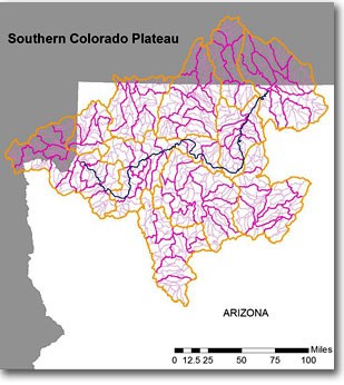 drainage map - Southern Colorado Plateau