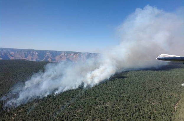 Smoke from the Halfway fire burning east of Tusayan, AZ as taken by air tanker personnel.