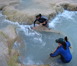Pam and Shaula seining for Chub in the Little Colorado River.