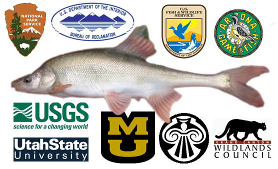 Logos of organizations that are participating in the project
