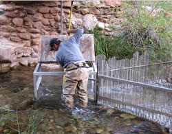 Biologist operating the weir in Bright Angel Creek. 