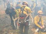 Jackie’s big find on the Wash Fire