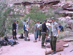 crmp mitigation trip