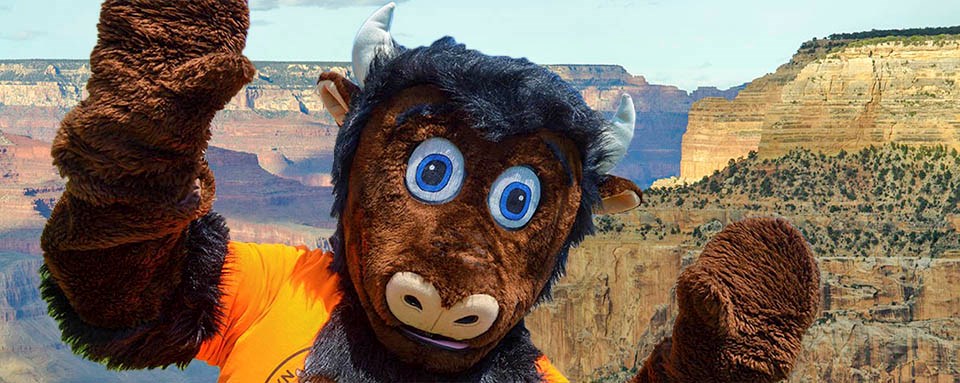 person in a bison costume raising both front paws in front of canyon landscape