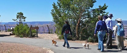 Dog-Walkers-on-paved-rim-trail