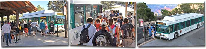 Grand Canyon Nat Park Shuttle Buses